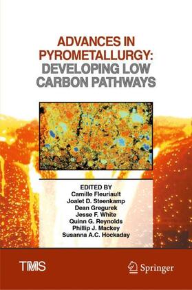 Fleuriault / Steenkamp / Gregurek |  Advances in Pyrometallurgy | Buch |  Sack Fachmedien