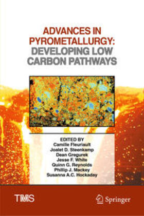 Fleuriault / Steenkamp / Gregurek |  Advances in Pyrometallurgy | eBook | Sack Fachmedien