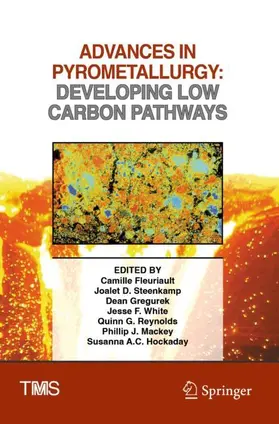 Fleuriault / Steenkamp / Gregurek |  Advances in Pyrometallurgy | Buch |  Sack Fachmedien