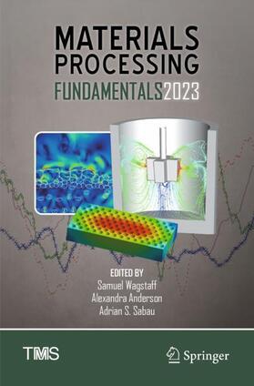 Wagstaff / Sabau / Anderson |  Materials Processing Fundamentals 2023 | Buch |  Sack Fachmedien
