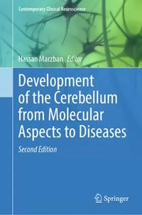 Marzban | Development of the Cerebellum from Molecular Aspects to Diseases | E-Book | www.sack.de