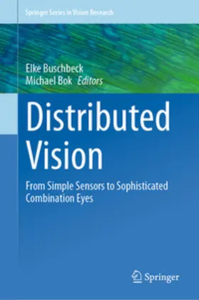 Buschbeck / Bok |  Distributed Vision | eBook | Sack Fachmedien