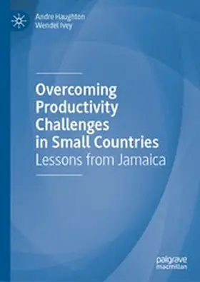 Haughton / Ivey |  Overcoming Productivity Challenges in Small Countries | eBook | Sack Fachmedien
