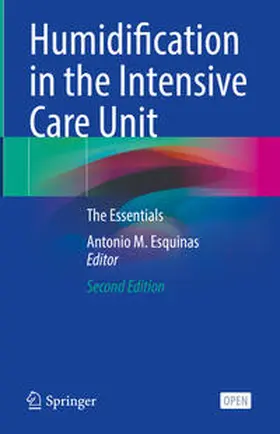 Esquinas |  Humidification in the Intensive Care Unit | eBook | Sack Fachmedien