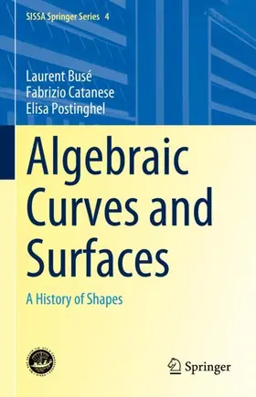 Busé / Postinghel / Catanese |  Algebraic Curves and Surfaces | Buch |  Sack Fachmedien