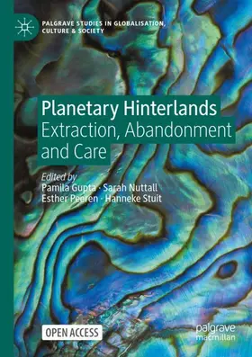 Gupta / Nuttall / Peeren |  Planetary Hinterlands | Buch |  Sack Fachmedien