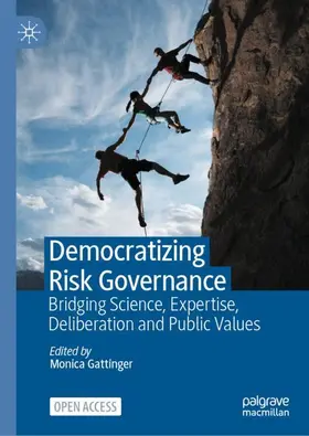 Gattinger |  Democratizing Risk Governance | Buch |  Sack Fachmedien
