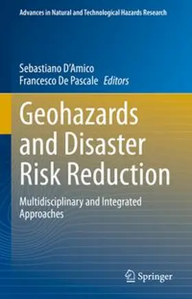 D'Amico / De Pascale |  Geohazards and Disaster Risk Reduction | eBook | Sack Fachmedien
