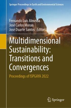 Almeida / Santos / Morais | Multidimensional Sustainability: Transitions and Convergences | Buch | 978-3-031-24891-7 | sack.de