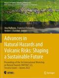 Malheiro / Fernandes / Chaminé |  Advances in Natural Hazards and Volcanic Risks: Shaping a Sustainable Future | Buch |  Sack Fachmedien