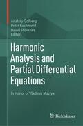 Golberg / Shoikhet / Kuchment |  Harmonic Analysis and Partial Differential Equations | Buch |  Sack Fachmedien
