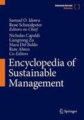 Idowu / Schmidpeter / Capaldi |  Encyclopedia of Sustainable Management | Buch |  Sack Fachmedien