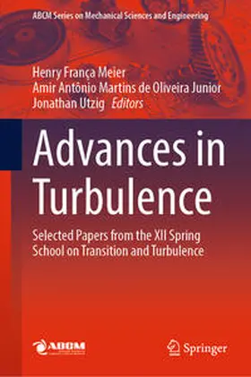Meier / de Oliveira Junior / Utzig | Advances in Turbulence | E-Book | sack.de
