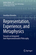 Knowles |  Representation, Experience, and Metaphysics | Buch |  Sack Fachmedien
