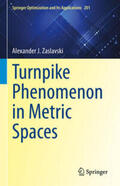 Zaslavski |  Turnpike Phenomenon in Metric Spaces | eBook | Sack Fachmedien
