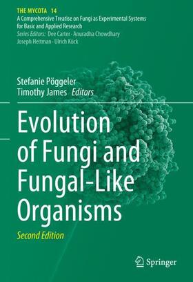 James / Pöggeler | Evolution of Fungi and Fungal-Like Organisms | Buch | 978-3-031-29198-2 | sack.de