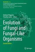 James / Pöggeler |  Evolution of Fungi and Fungal-Like Organisms | Buch |  Sack Fachmedien