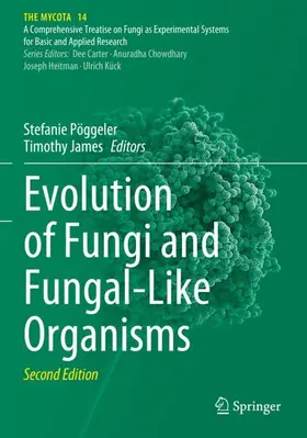 Pöggeler / James |  Evolution of Fungi and Fungal-Like Organisms | Buch |  Sack Fachmedien
