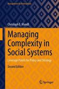 Mandl |  Managing Complexity in Social Systems | Buch |  Sack Fachmedien