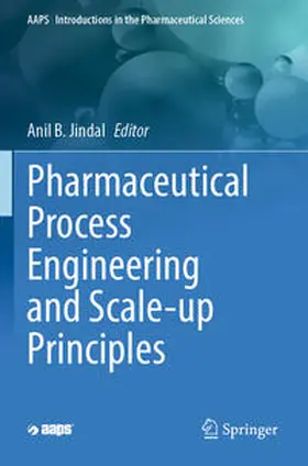 Jindal |  Pharmaceutical Process Engineering and Scale-up Principles | Buch |  Sack Fachmedien