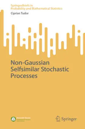 Tudor |  Non-Gaussian Selfsimilar Stochastic Processes | eBook | Sack Fachmedien
