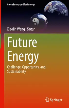 Wang |  Future Energy | Buch |  Sack Fachmedien