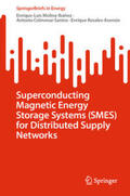 Molina-Ibáñez / Colmenar-Santos / Rosales-Asensio |  Superconducting Magnetic Energy Storage Systems (SMES) for Distributed Supply Networks | eBook | Sack Fachmedien