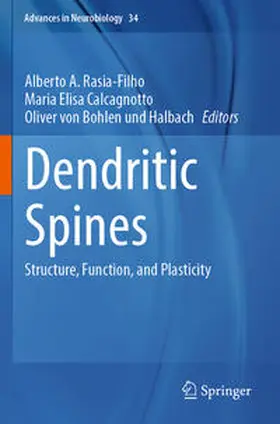 Rasia-Filho / Calcagnotto / von Bohlen und Halbach |  Dendritic Spines | Buch |  Sack Fachmedien