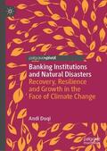Duqi |  Banking Institutions and Natural Disasters | Buch |  Sack Fachmedien