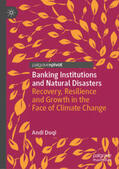 Duqi |  Banking Institutions and Natural Disasters | eBook | Sack Fachmedien