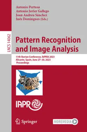 Pertusa / Gallego / Sánchez | Pattern Recognition and Image Analysis | E-Book | sack.de