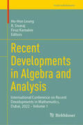 Leung / Sivaraj / Kamalov |  Recent Developments in Algebra and Analysis | eBook | Sack Fachmedien
