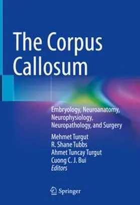 Turgut / Tubbs / Bui | The Corpus Callosum | Buch | 978-3-031-38113-3 | www.sack.de