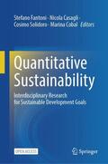 Fantoni / Cobal / Casagli |  Quantitative Sustainability | Buch |  Sack Fachmedien