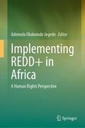 Jegede |  Implementing REDD+ in Africa | Buch |  Sack Fachmedien