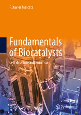 Malcata |  Fundamentals of Biocatalysts | Buch |  Sack Fachmedien