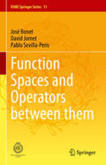 Bonet / Jornet / Sevilla-Peris |  Function Spaces and Operators between them | eBook | Sack Fachmedien
