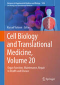 Turksen |  Cell Biology and Translational Medicine, Volume 20 | eBook | Sack Fachmedien