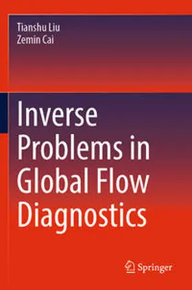 Cai / Liu |  Inverse Problems in Global Flow Diagnostics | Buch |  Sack Fachmedien