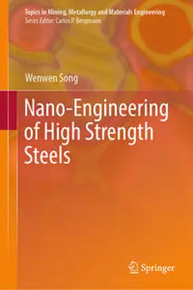 Song |  Nano-Engineering of High Strength Steels | Buch |  Sack Fachmedien