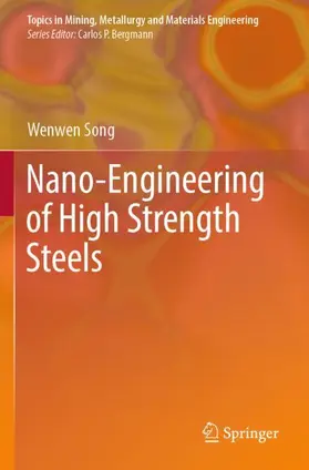 Song |  Nano-Engineering of High Strength Steels | Buch |  Sack Fachmedien