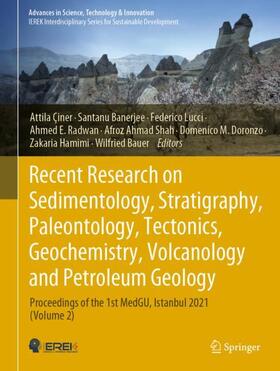 Çiner / Banerjee / Lucci | Recent Research on Sedimentology, Stratigraphy, Paleontology, Tectonics, Geochemistry, Volcanology and Petroleum Geology | Buch | 978-3-031-43221-7 | sack.de