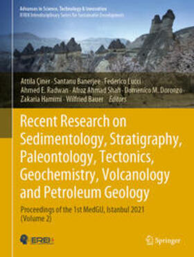 Çiner / Banerjee / Lucci |  Recent Research on Sedimentology, Stratigraphy, Paleontology, Tectonics, Geochemistry, Volcanology and Petroleum Geology | eBook | Sack Fachmedien