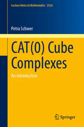 Schwer | CAT(0) Cube Complexes | E-Book | sack.de
