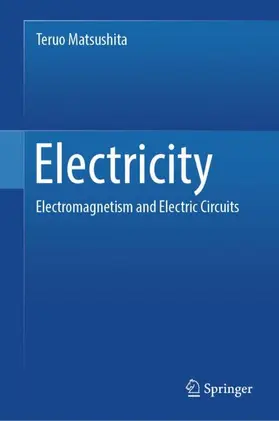 Matsushita | Electricity | Buch | 978-3-031-44001-4 | www.sack.de