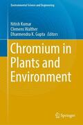 Kumar / Gupta / Walther |  Chromium in Plants and Environment | Buch |  Sack Fachmedien