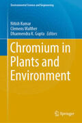 Kumar / Walther / Gupta |  Chromium in Plants and Environment | eBook | Sack Fachmedien