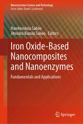 Sahoo | Iron Oxide-Based Nanocomposites and Nanoenzymes | E-Book | www.sack.de