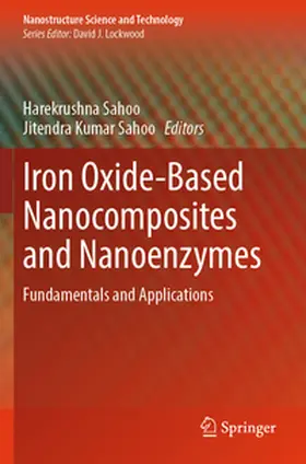 Sahoo |  Iron Oxide-Based Nanocomposites and Nanoenzymes | Buch |  Sack Fachmedien