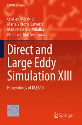 Marchioli / Salvetti / Garcia-Villalba |  Direct and Large Eddy Simulation XIII | Buch |  Sack Fachmedien